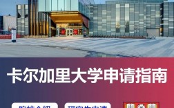 卡尔加里大学世界排名