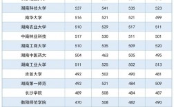 2024年湖南高校录取分数线