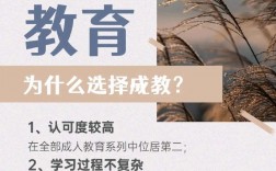 成教(初中文凭怎么报考成人大专)