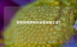 如何获得特种作业高压电工证？