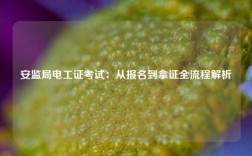 安监局电工证考试：从报名到拿证全流程解析