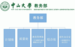 中山大学教务系统入口（附网址+流程）