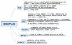 生物医学科学就业方向