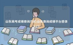 山东高考成绩查询方式(山东查询成绩平台登录入口)