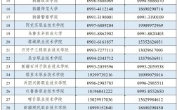 新疆单招报名网