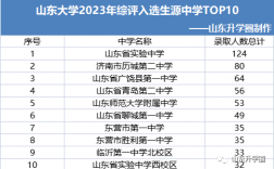 山东综评学校排名