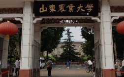 山东最容易考研的大学