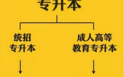 本科是什么意思(自考大专报名官网入口)