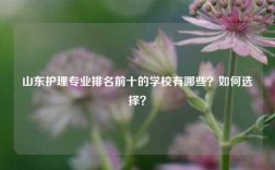 山东护理专业排名前十的学校有哪些？如何选择？