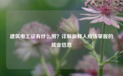 建筑电工证有什么用？详解新鲜人应该掌握的就业信息