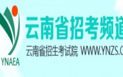 云南招考频道官网www.ynzs.cn