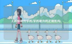 上班族提升学历(学历提升的正规机构)