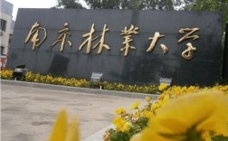 南林是211还是985大学