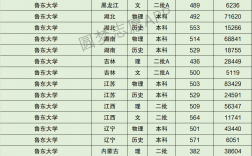 鲁东大学分数线