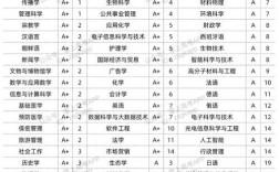 复旦大学王牌专业