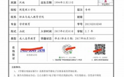 本科毕业如何申请第二学历(怎么报考第二学位)