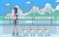 声学专业考研有哪些学校(二本音乐生考研的学校推荐)