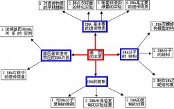 基因的化学本质(基因合成的原理)