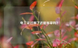 电工证过期了还能年审吗？