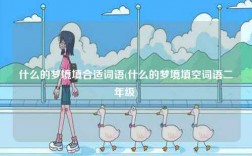 什么的梦境填合适词语(什么的梦境填空词语二年级)