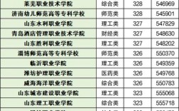 公办大专学校排名及分数线