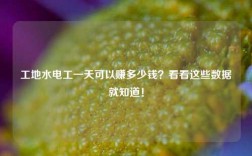 工地水电工一天可以赚多少钱？看看这些数据就知道！