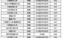 中外合作办学排名一览表最新