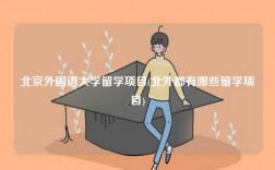 北京外国语大学留学项目(北外都有哪些留学项目)