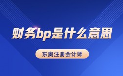 财务bp是什么意思