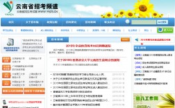 云南省招考网www.ynzs.cn