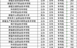 新疆的公办二本院校有哪些？如何选择适合的学校？