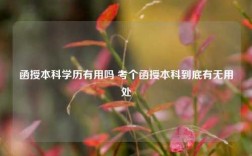 函授本科学历有用吗 考个函授本科到底有无用处