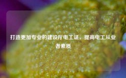 打造更加专业的建设厅电工证，提高电工从业者素质