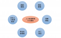 人力资源是什么职业