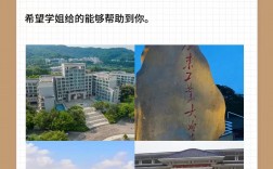 广东考研容易上岸的学校专业