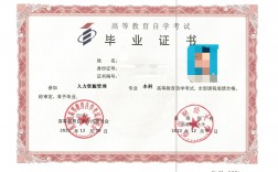 小学毕业可以自考什么学历(初中没读完怎么提升学历)