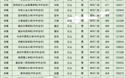 二本中外合作办学的大学