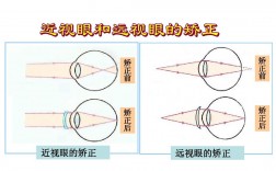 前视后视怎么区分