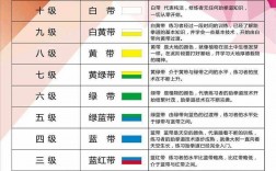 学跆拳道考级国家认可吗