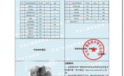 中专学历网上能查到吗(只有初中学历怎么考大专)