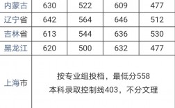 武汉大学报录比