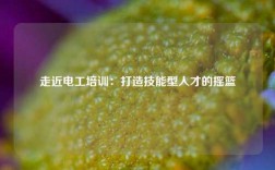 走近电工培训：打造技能型人才的摇篮