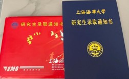 上海海事大学考研难度(上海考研最容易的大学)