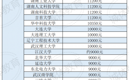 体校一年学费多少钱