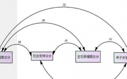 双向选择什么意思