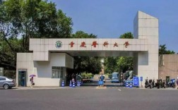 重庆医科大学是一本吗