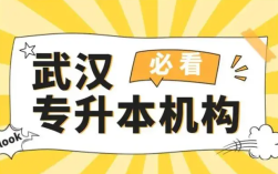 2025湖北省内专升本培训领域前十佼佼者名单