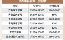 民办大专学校学费一年大约多少钱