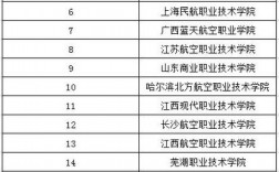 空乘专业学校排行榜(正规空乘学校有哪些)