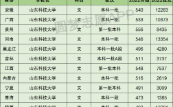 山东科技大学是一本还是二本(算好大学吗)